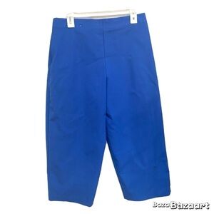 Nicole Miller women’s elastic waist pull on capris Pant Sz Large.